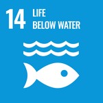 เป้าหมายที่ 14 อนุรักษ์และใช้ประโยชน์จากมหาสมุทร ทะเลและทรัพยากรทางทะเลอย่างยั่งยืนเพื่อการพัฒนาที่ยั่งยืน - Life below water